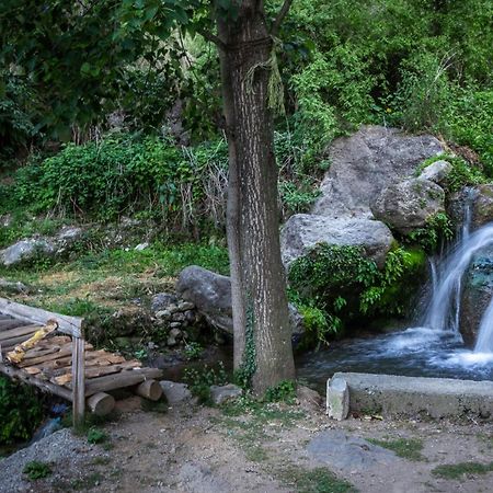 Babutaal Resort 恰克拉塔 外观 照片