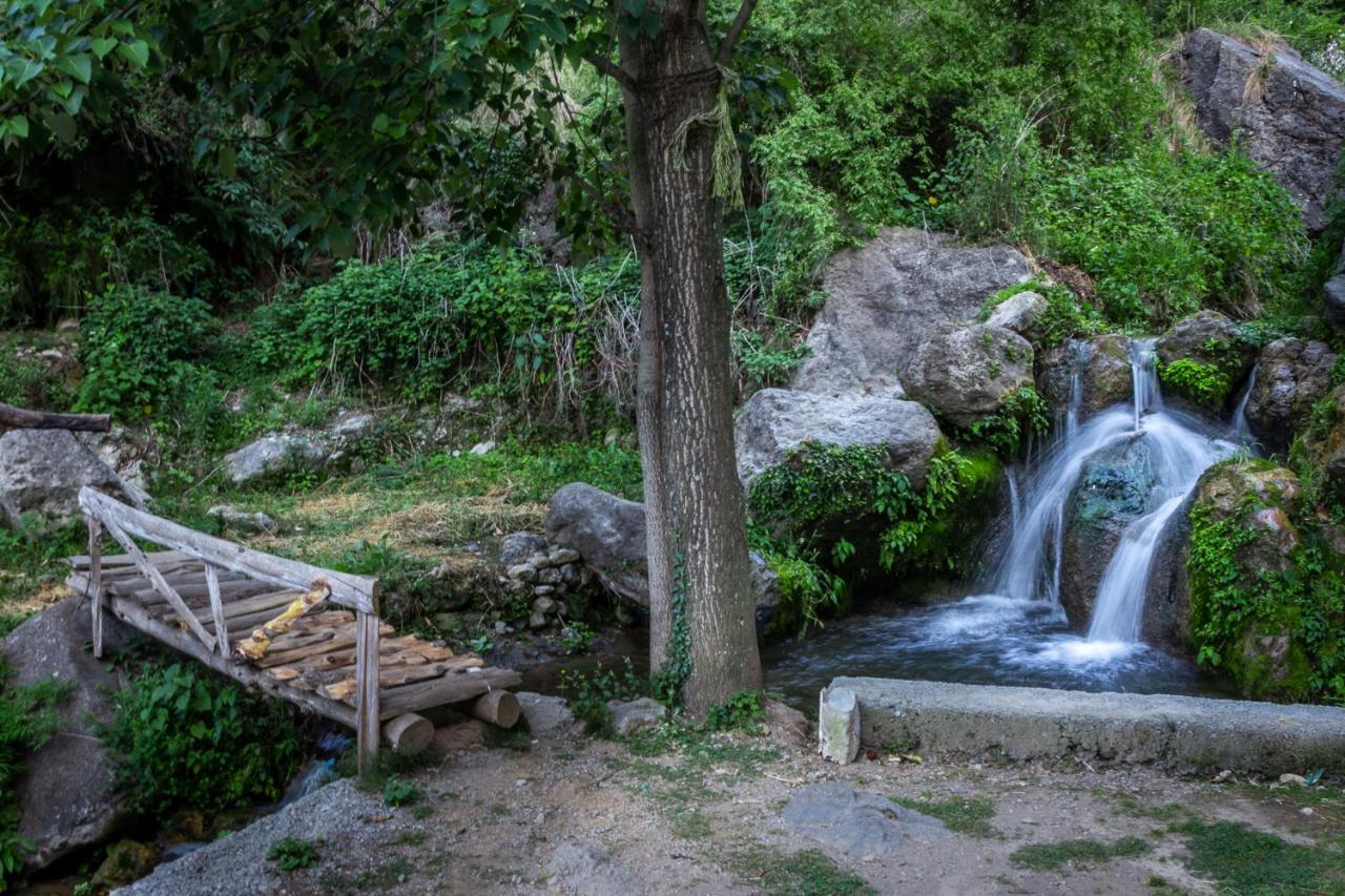 Babutaal Resort 恰克拉塔 外观 照片